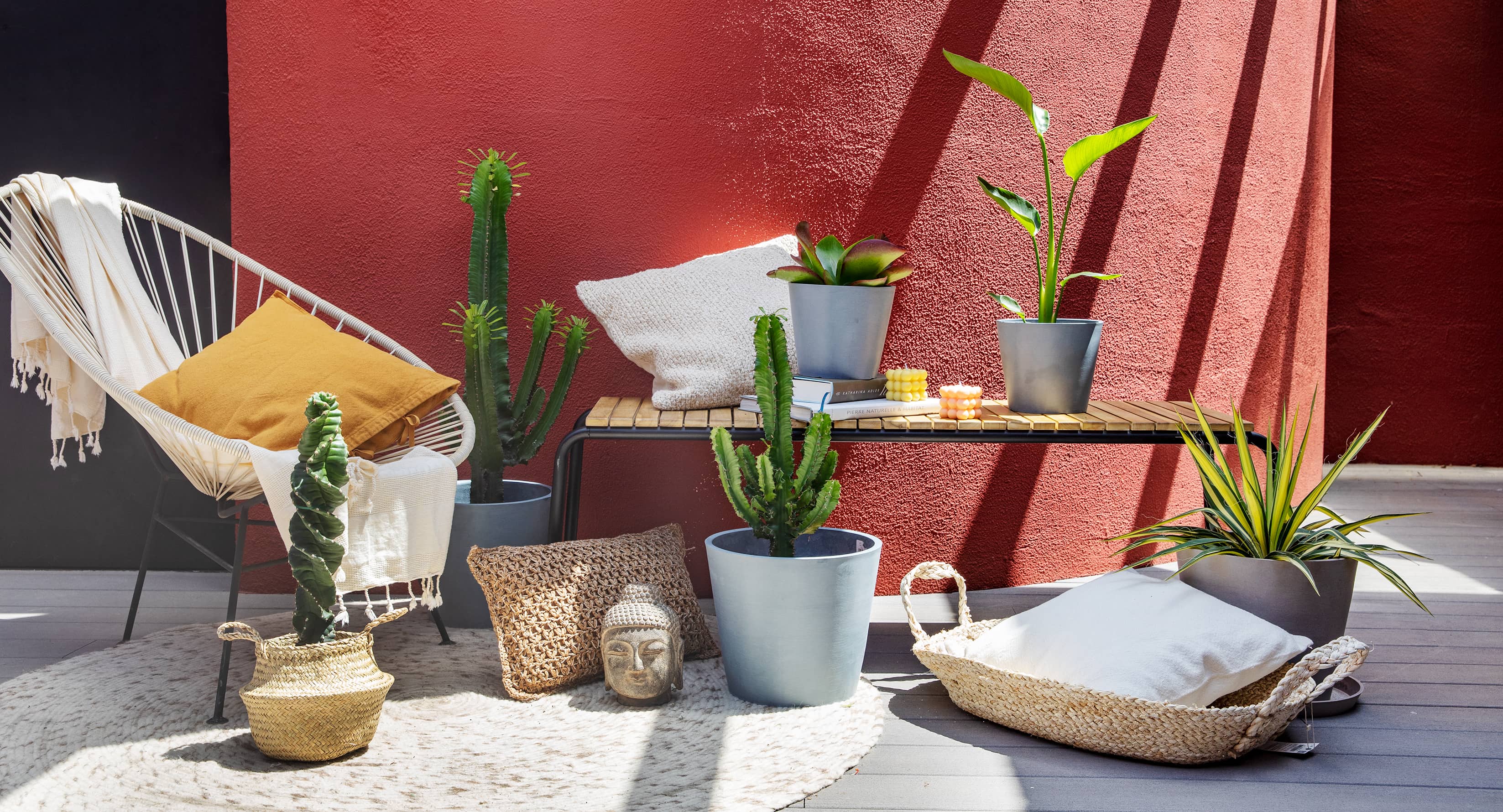 regar las plantas en vacaciones