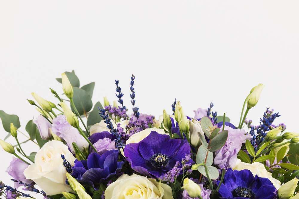 La Winter Collection ya está aquí