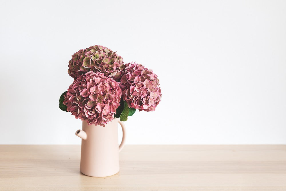 secar hortensias ramo