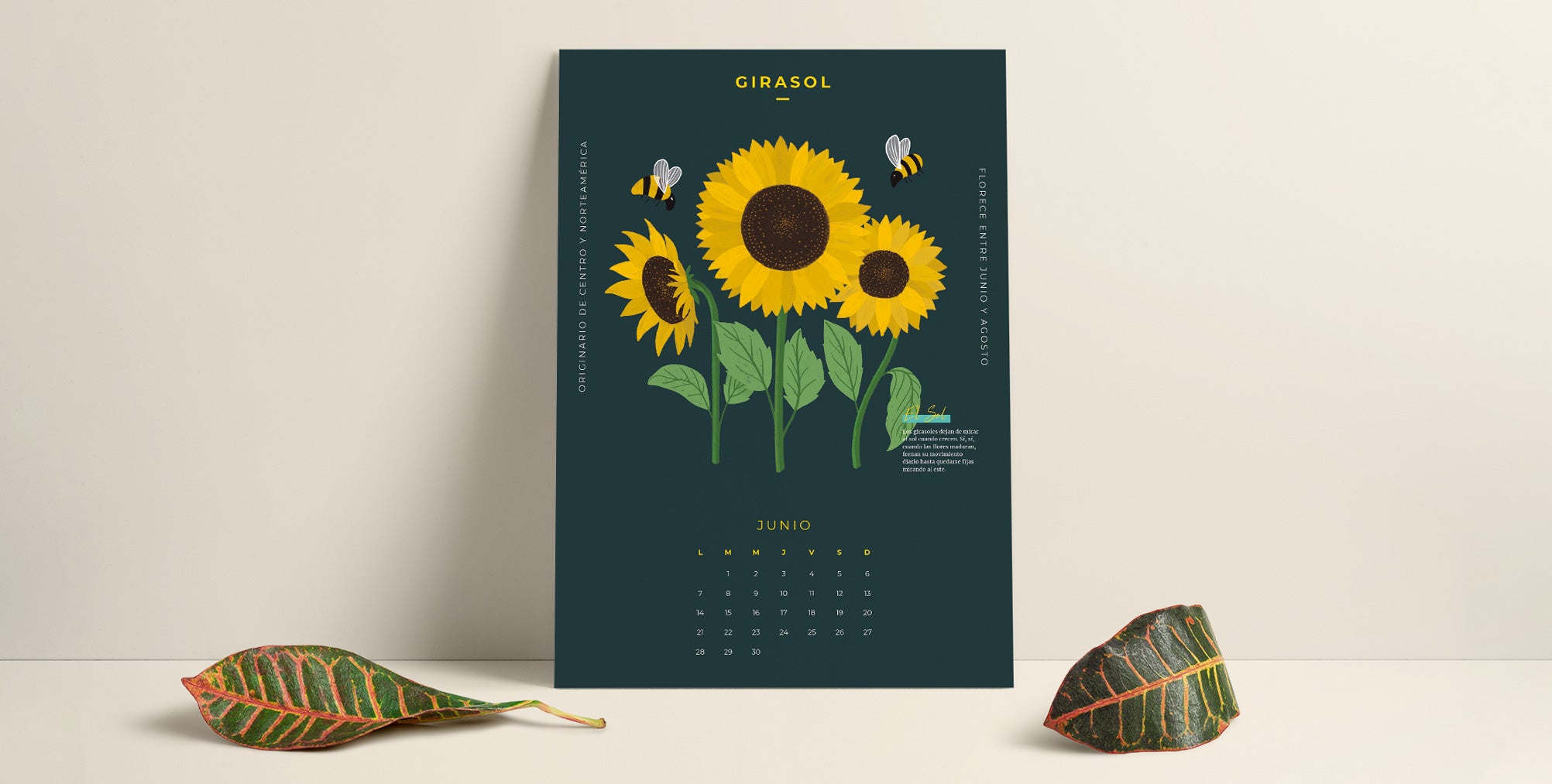 calendario descargable de junio