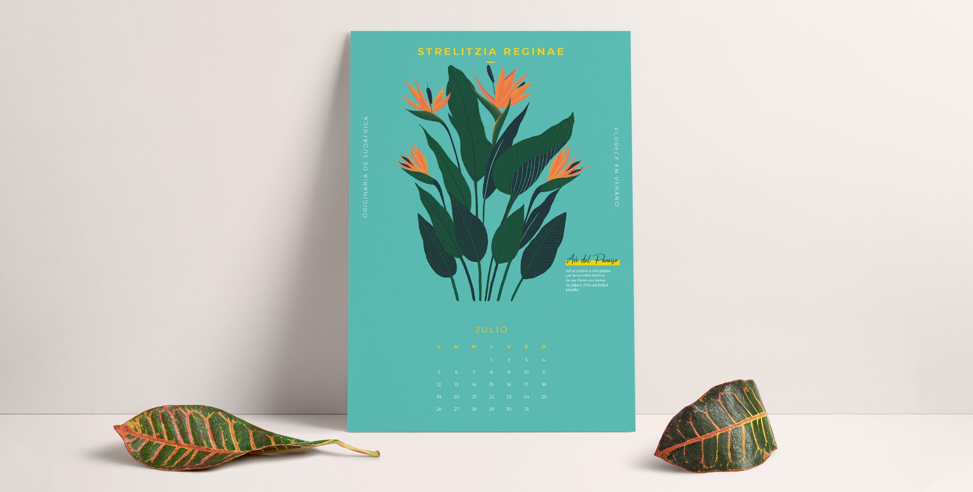 calendario descargable de julio