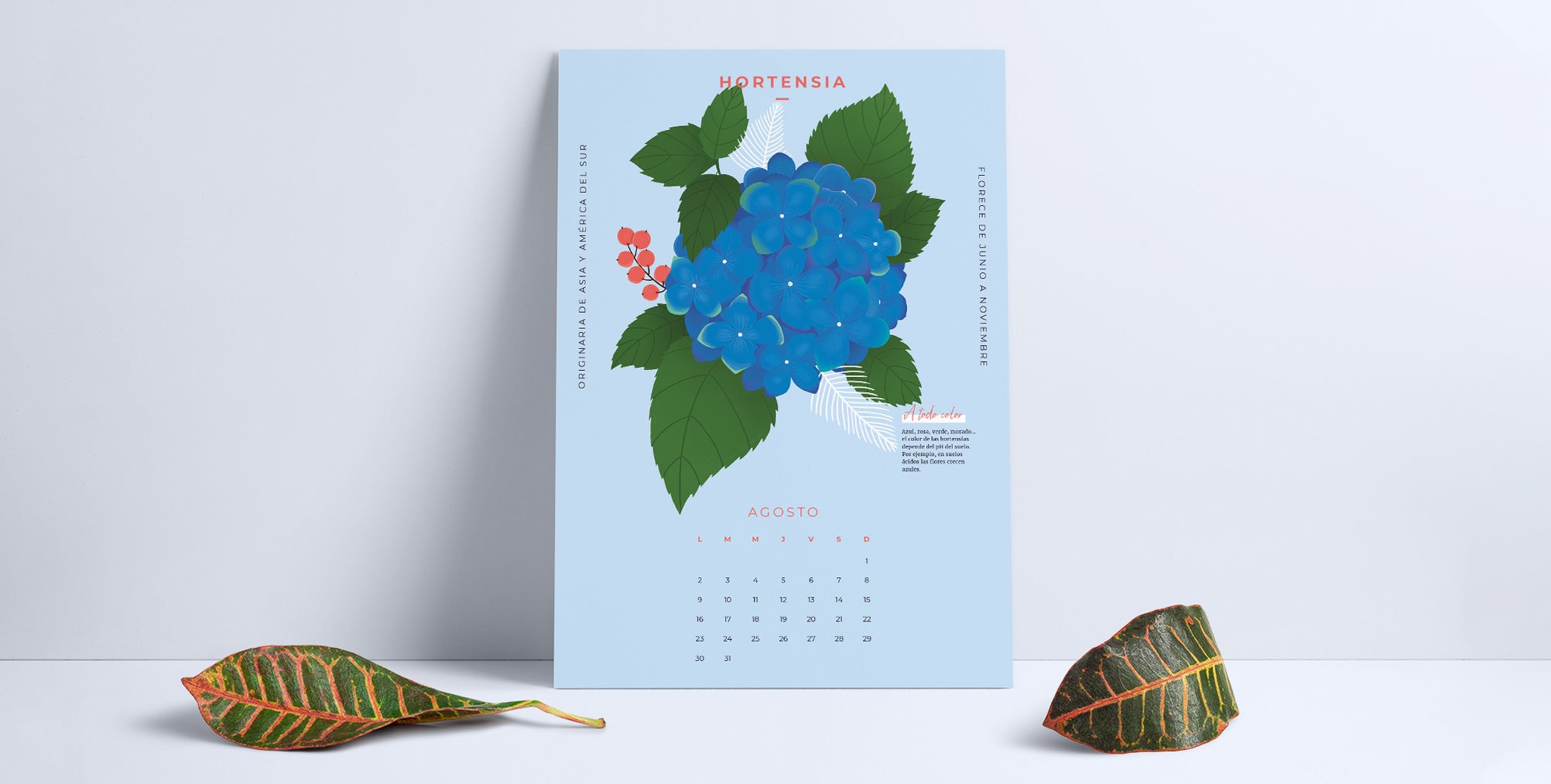 calendario descargable de agosto