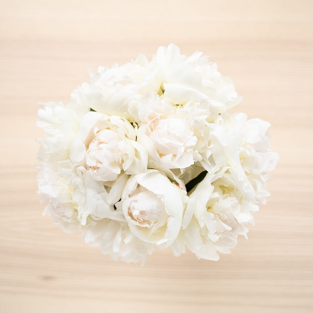 peonías blancas ramo