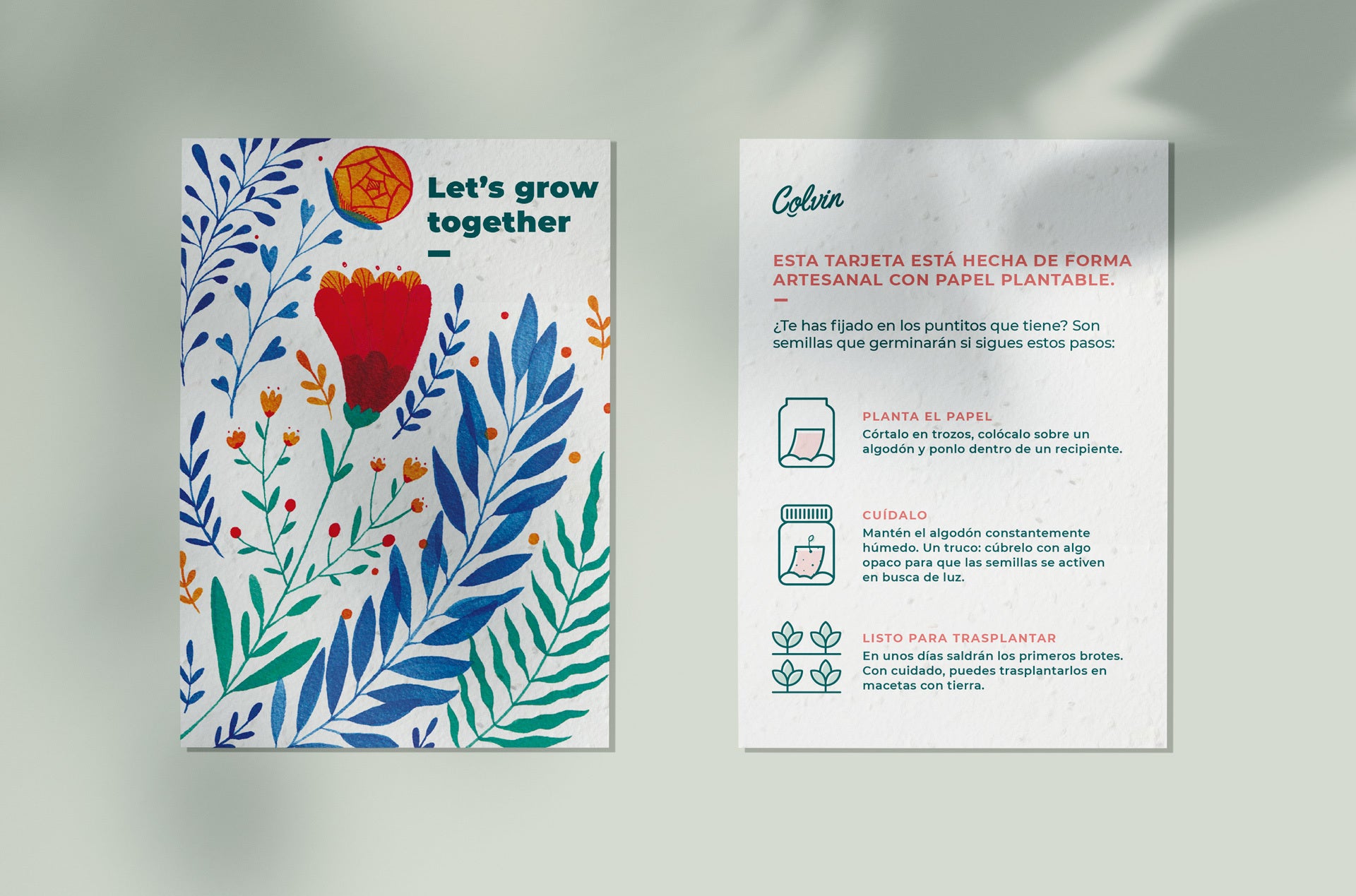 Crea vida con nuestra tarjeta de felicitación de papel plantable