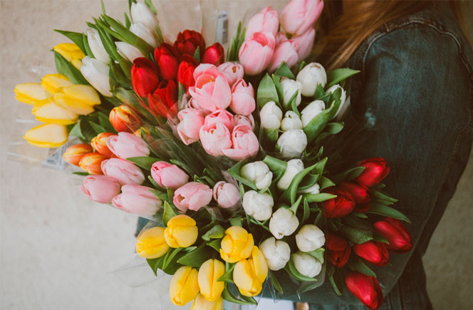 Flores para cumpleaños, un acierto seguro- El Blog de Colvin