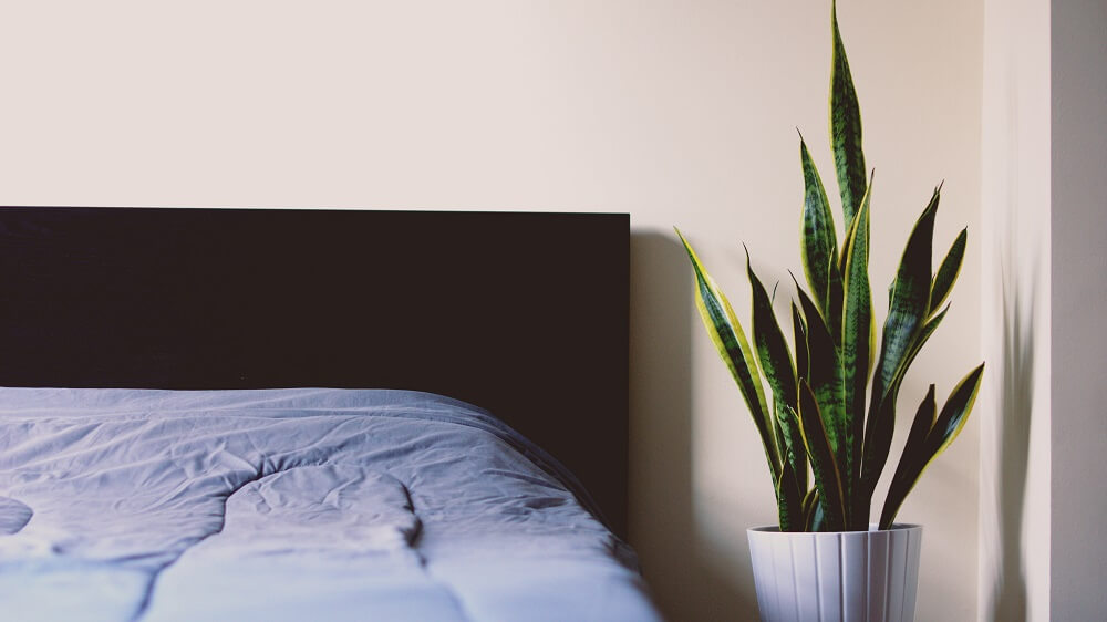¿Cómo decorar una habitación? Jarrones y flores, siempre