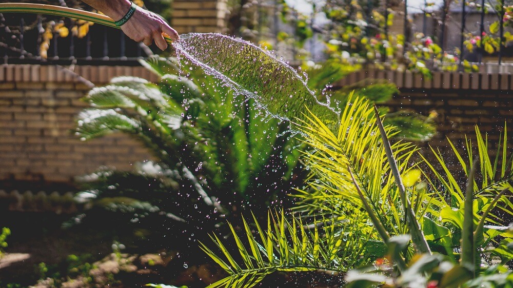 mantenimiento de jardines flores 