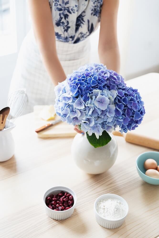 hortensias azules jarrón