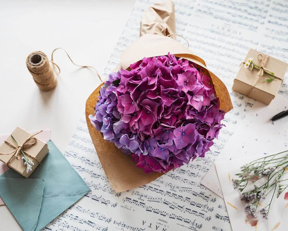 Trucos infalibles para secar hortensias