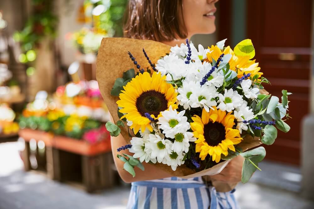 ¿Por qué el girasol se mueve buscando el sol?