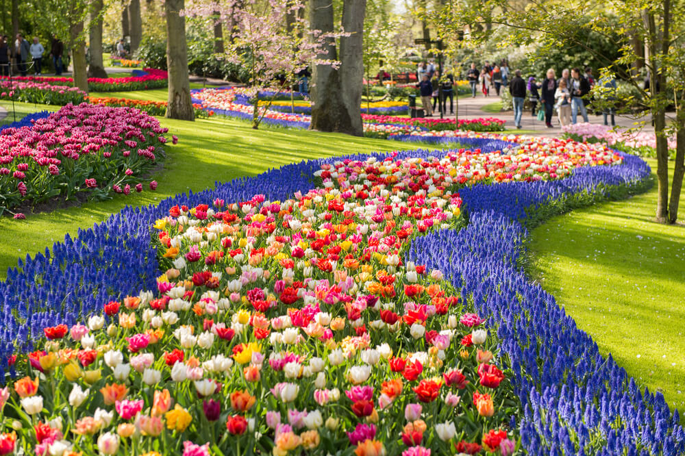 Jardín de Keukenhof