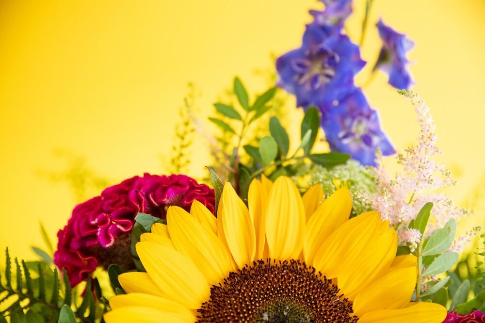 ¿Qué se está cociendo con papiroga?