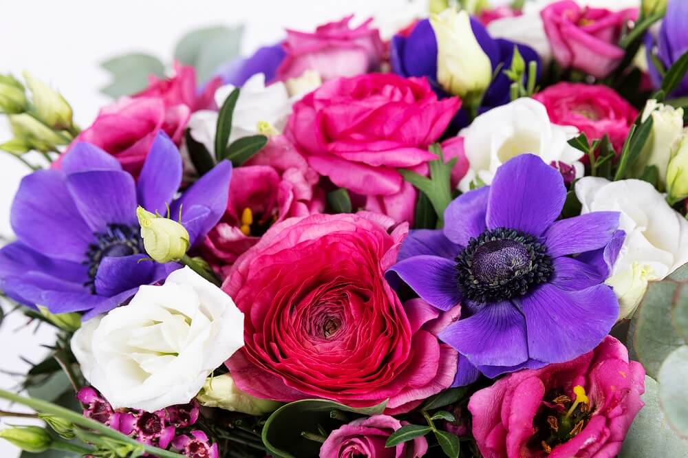 Cómo llegan nuestros ramos