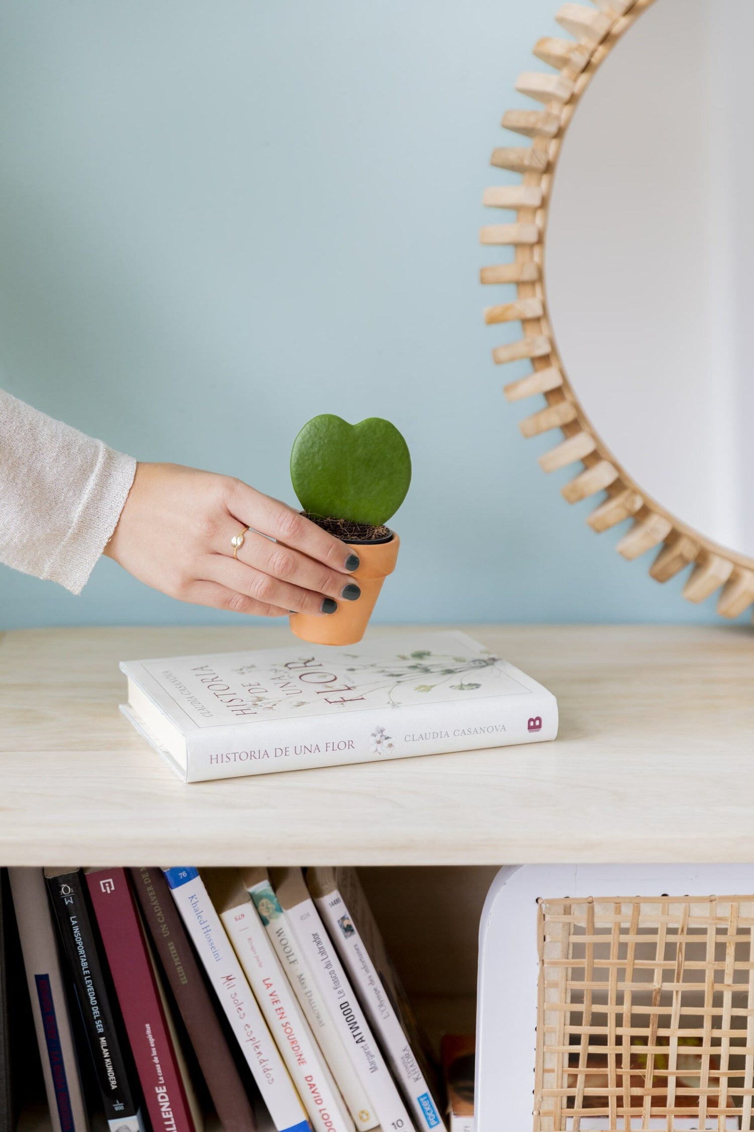 Colvin cumple 5 años y queremos celebrarlo “together” con una mini planta de regalo