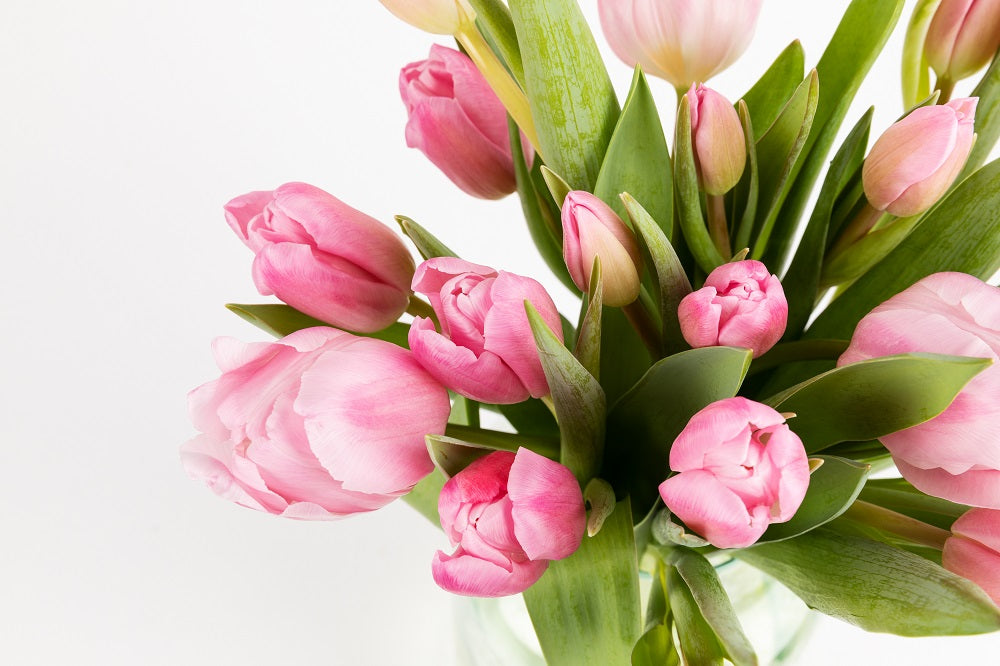 Crisis de los tulipanes historia