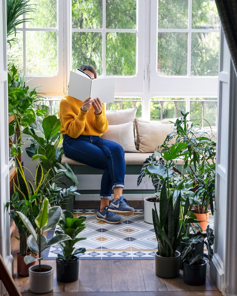 plantas de poco riego