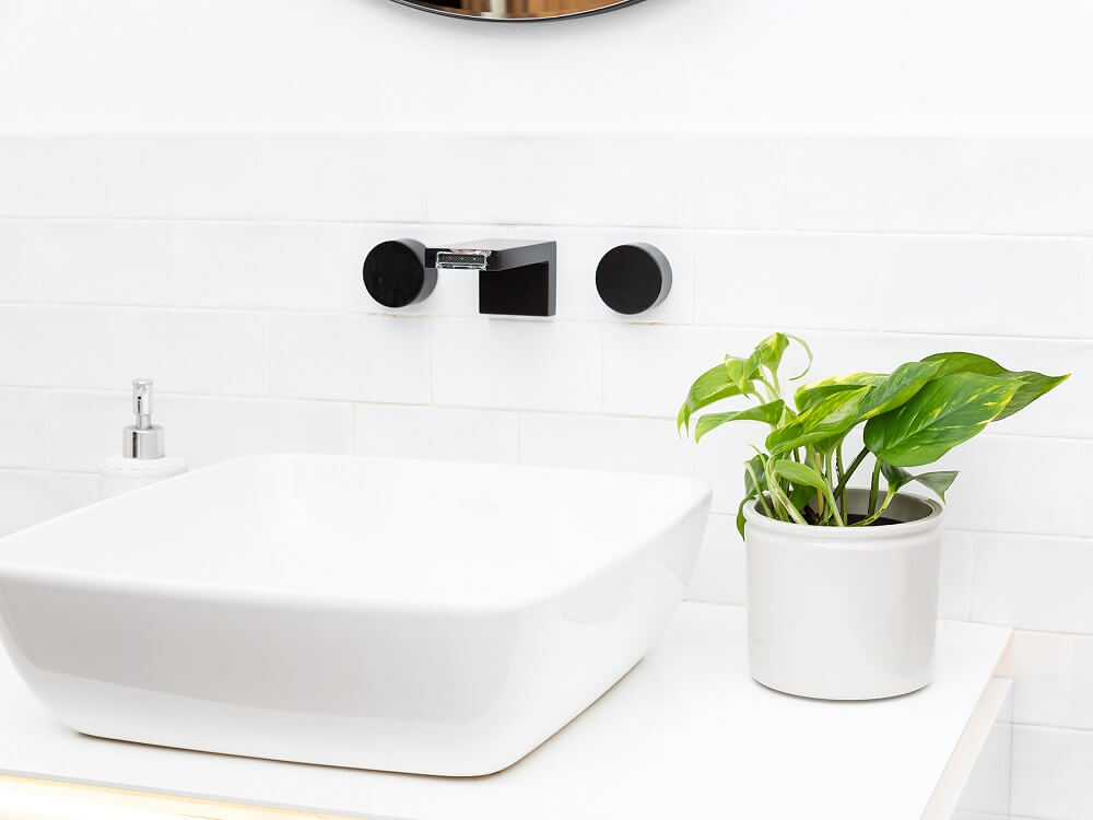 Las mejores plantas para purificar el aire