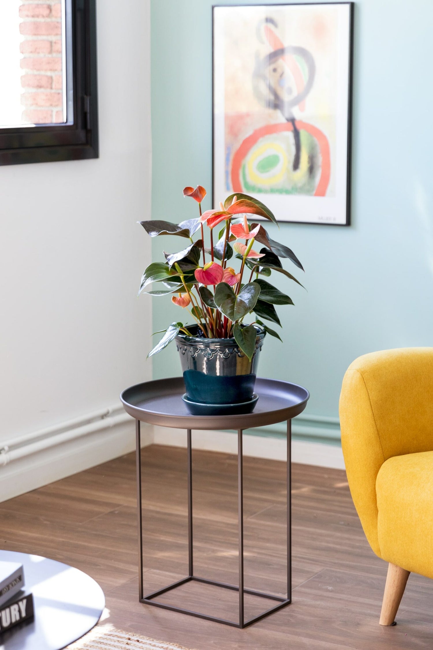 niveles de luz plantas