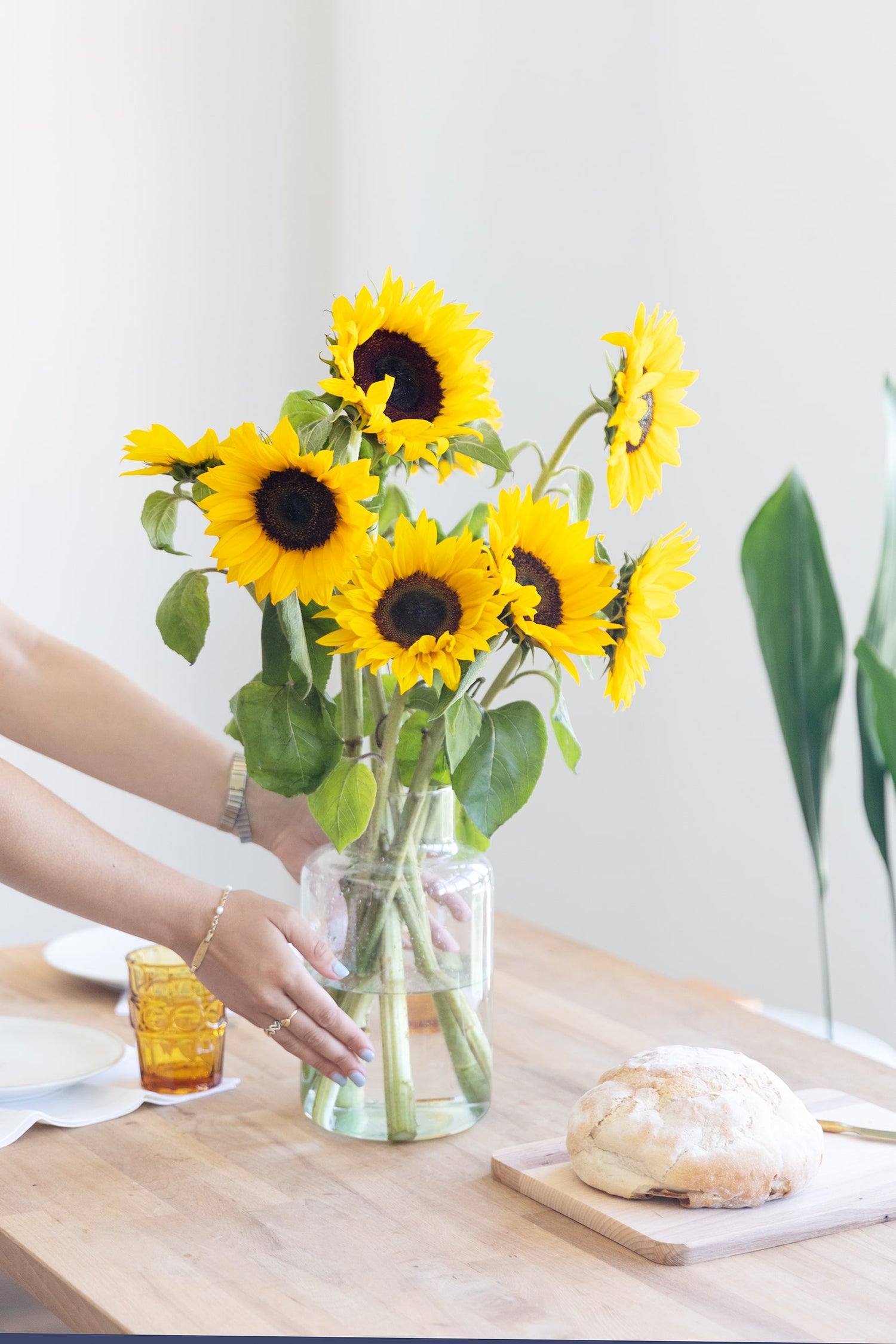 cuidar un ramo de girasoles