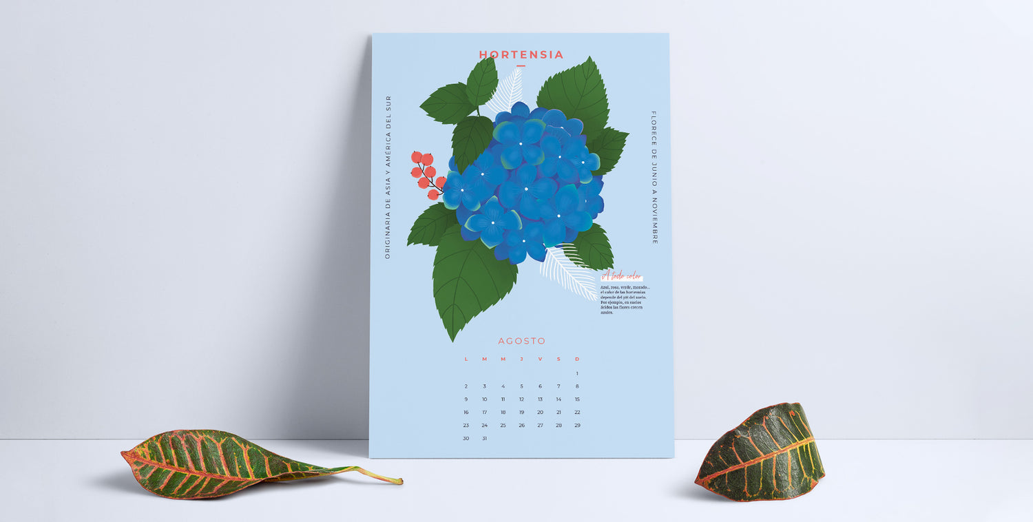 calendario descargable de agosto