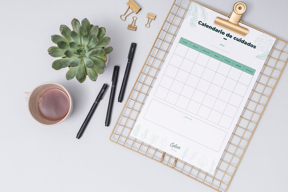 cómo cuidar las plantas con calendario