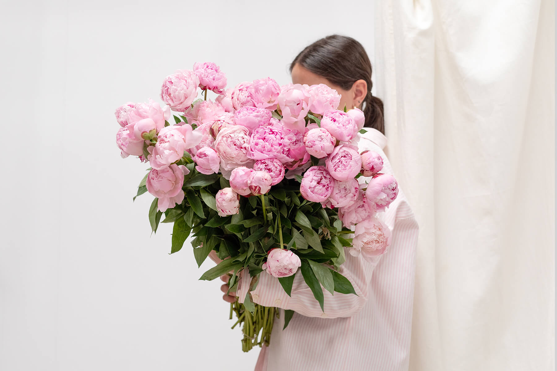 Ramo de peonías rosas, significado de peonias rosas
