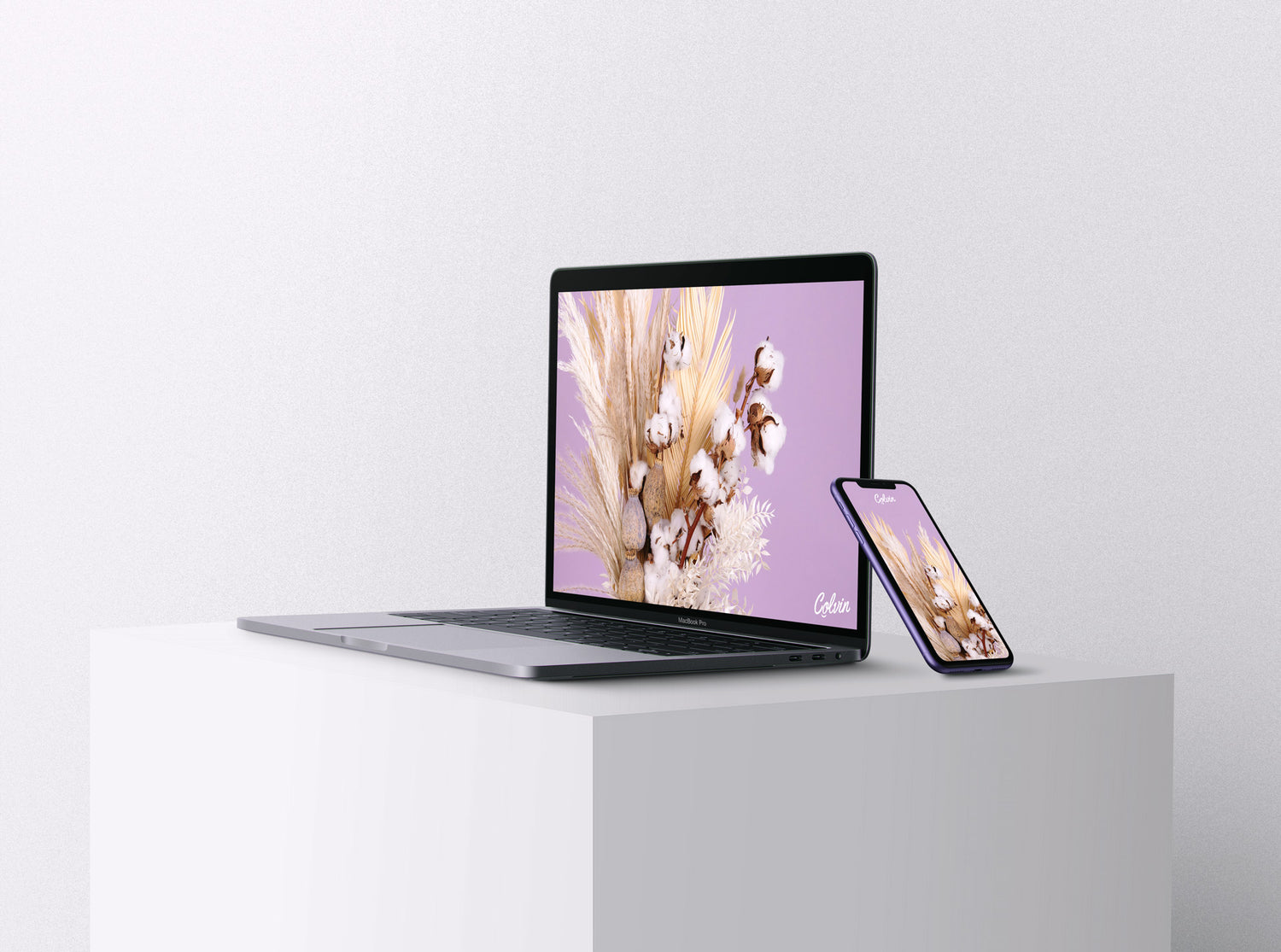 fondos de pantalla de flores secas