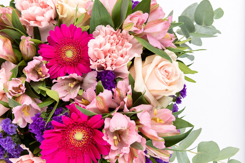 mitos sobre flores bonitas