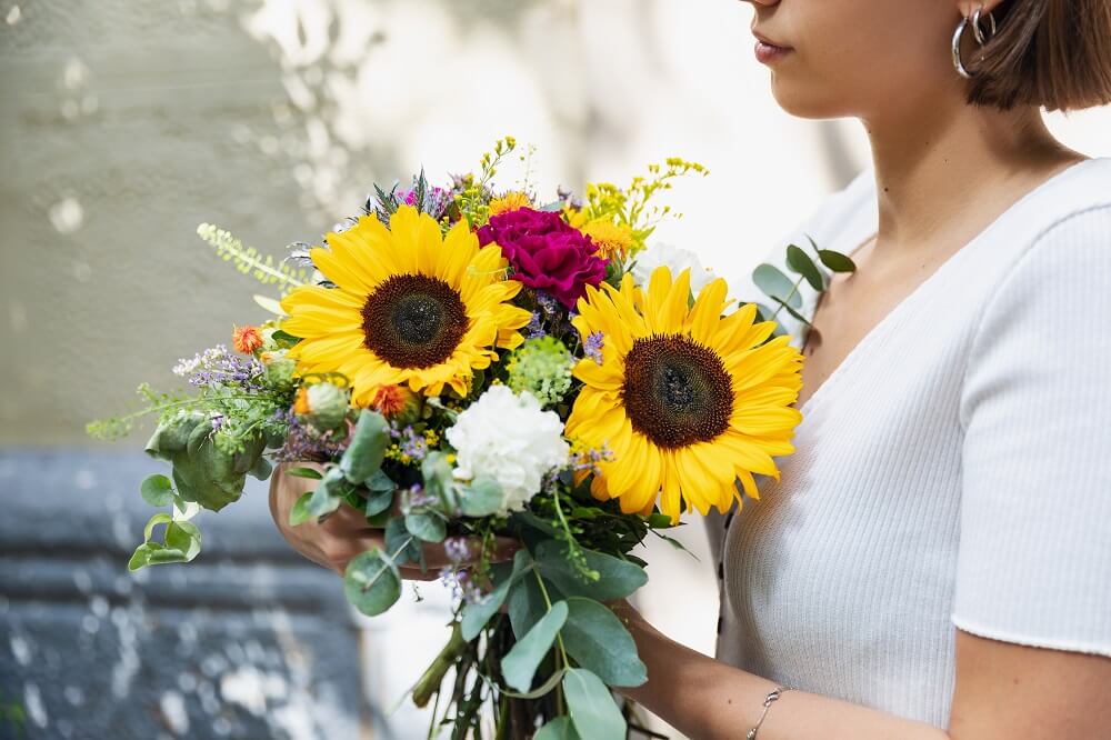 ¡Una calurosa bienvenida a la Sunflower Collection!