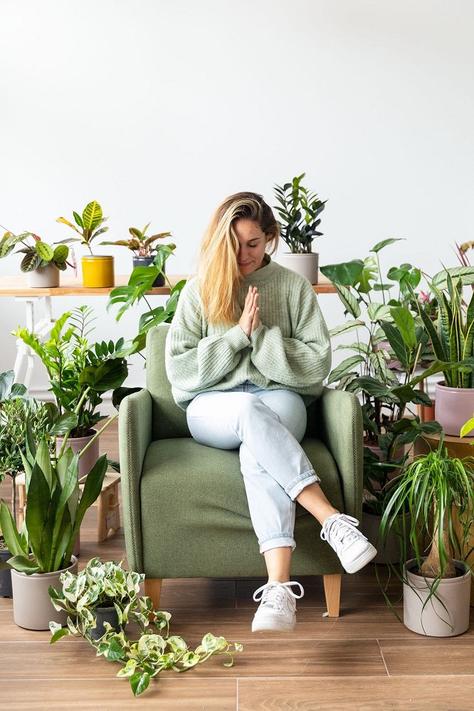 plantas según tu signo del horóscopo