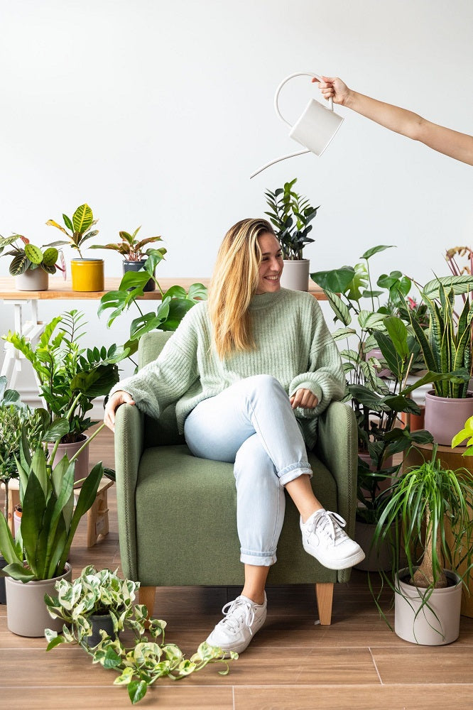 plantas de invierno en colvin