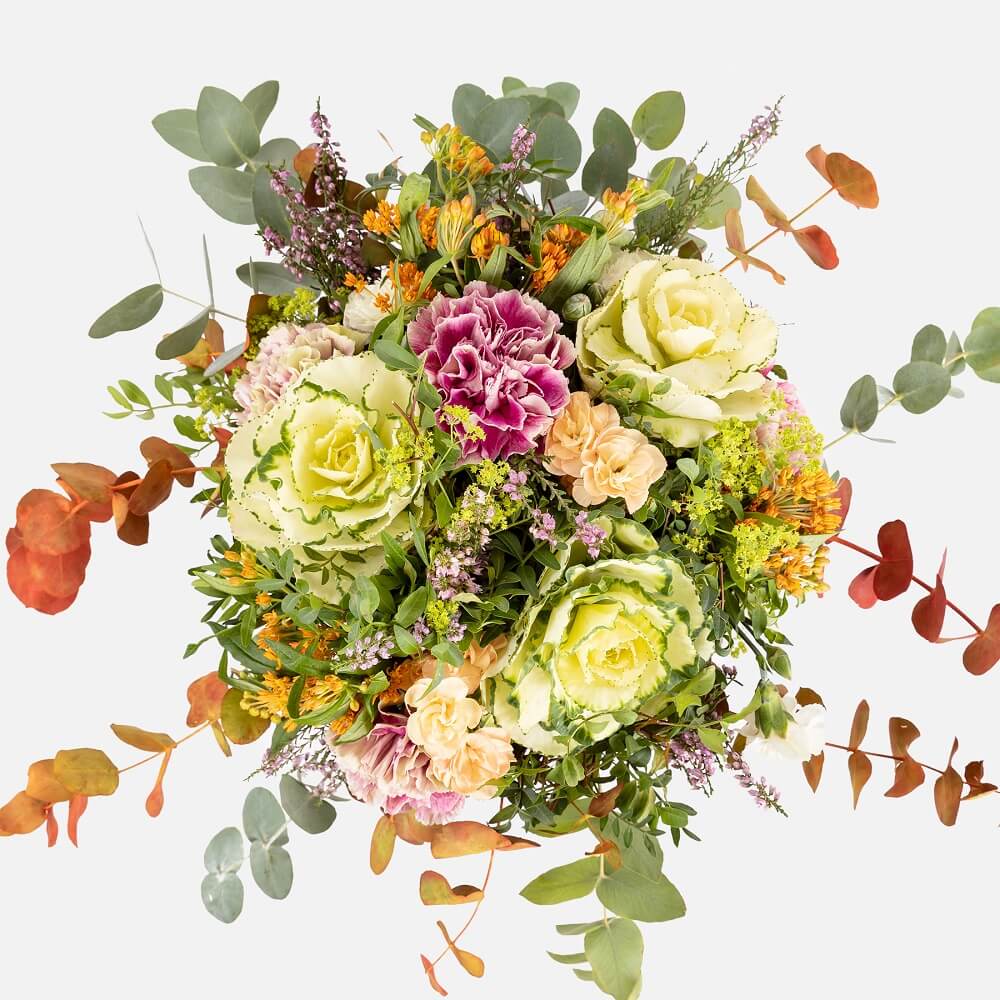 ramo de flores con asclepias curassavica