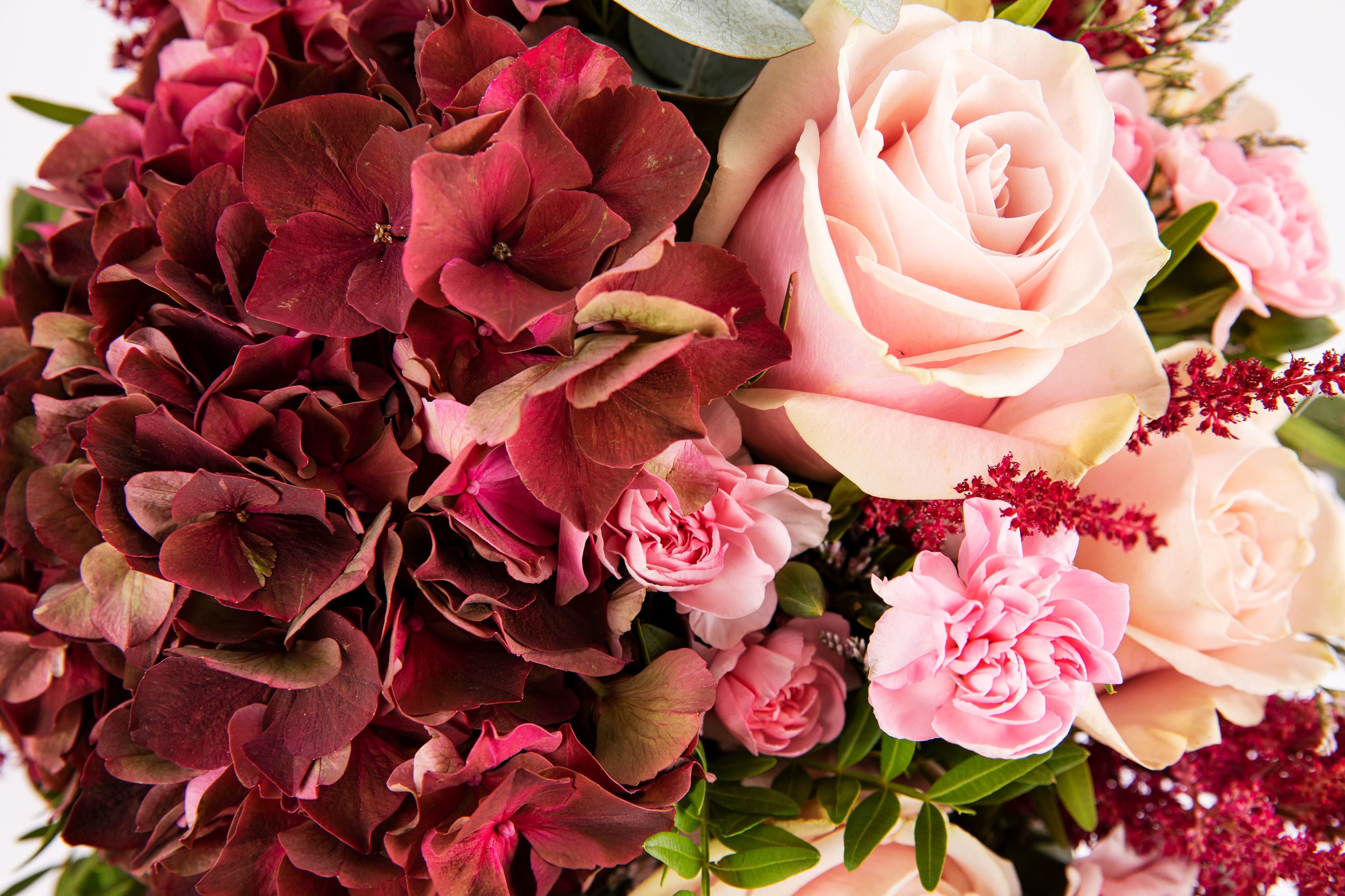 Ramo de hortensias antique - colvin