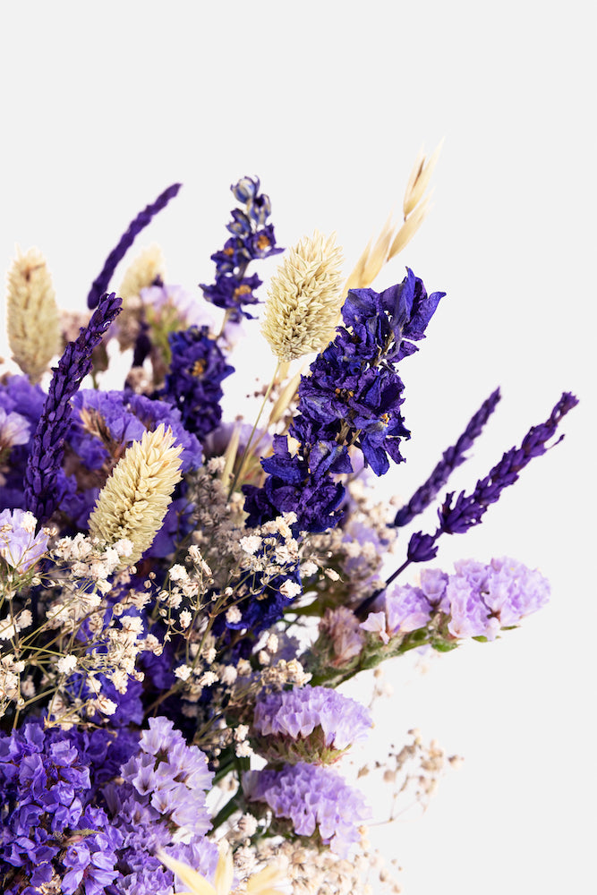 Dad la bienvenida a la nueva Colección de Flor Seca