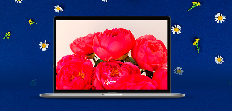 Fondos de pantalla para el ordenador descargables