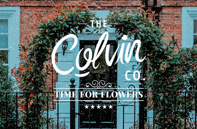 Imprescindibles para esta Navidad