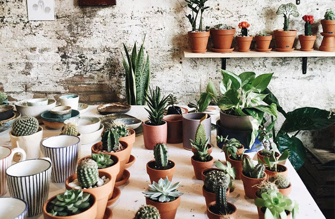 Rincones en Barcelona llenos de flores