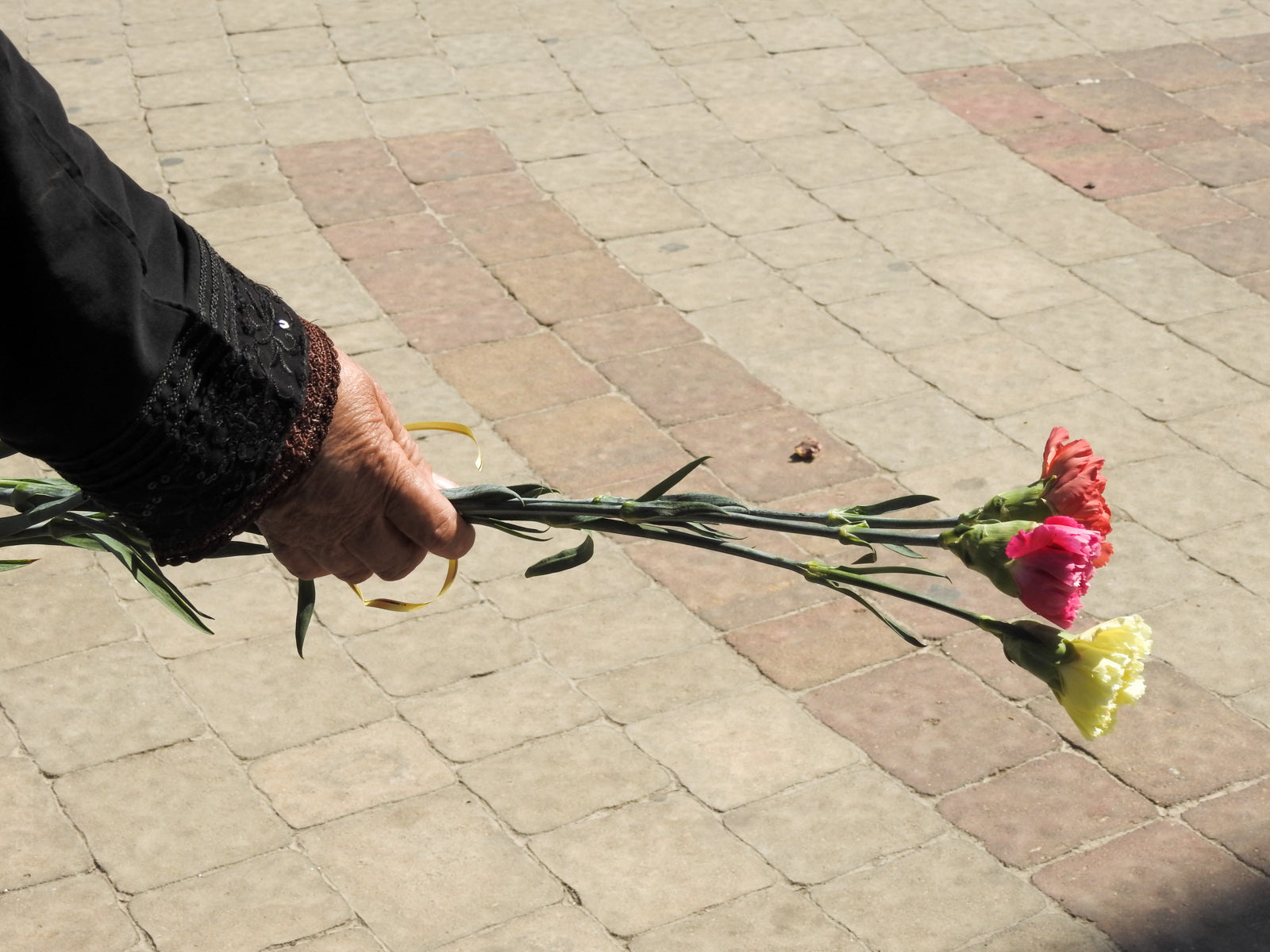 Flores contra las fronteras