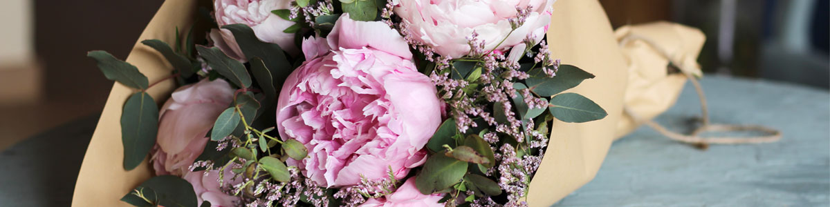 ¡Peonias! Ya están aquí