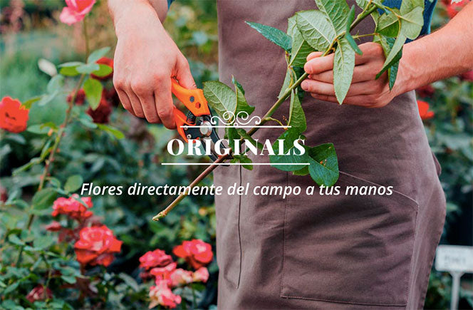 Originals, flores del campo a tu casa
