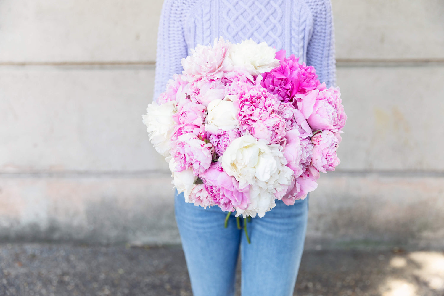peonias coleccion colvin ramos de flores