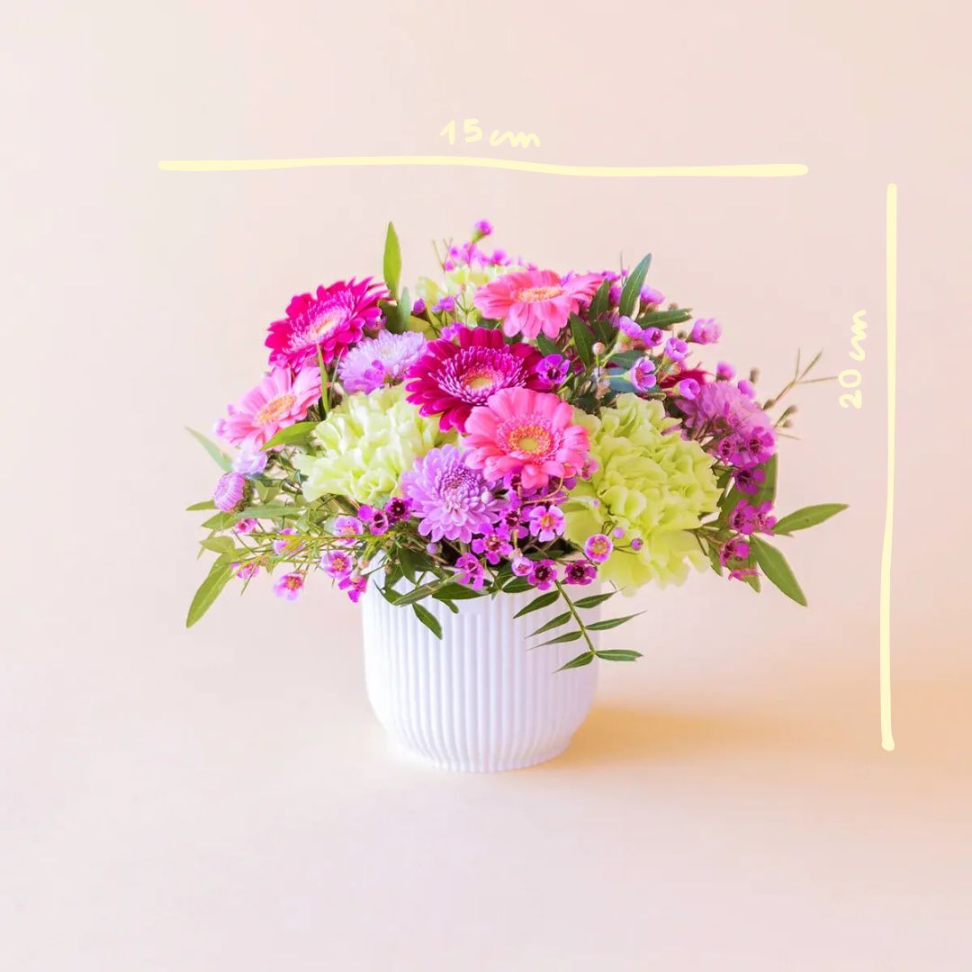 Arreglo floral mini Colvin con gerberas y flores silvestres en maceta blanca, medidas 15 cm de ancho por 20 cm de alto