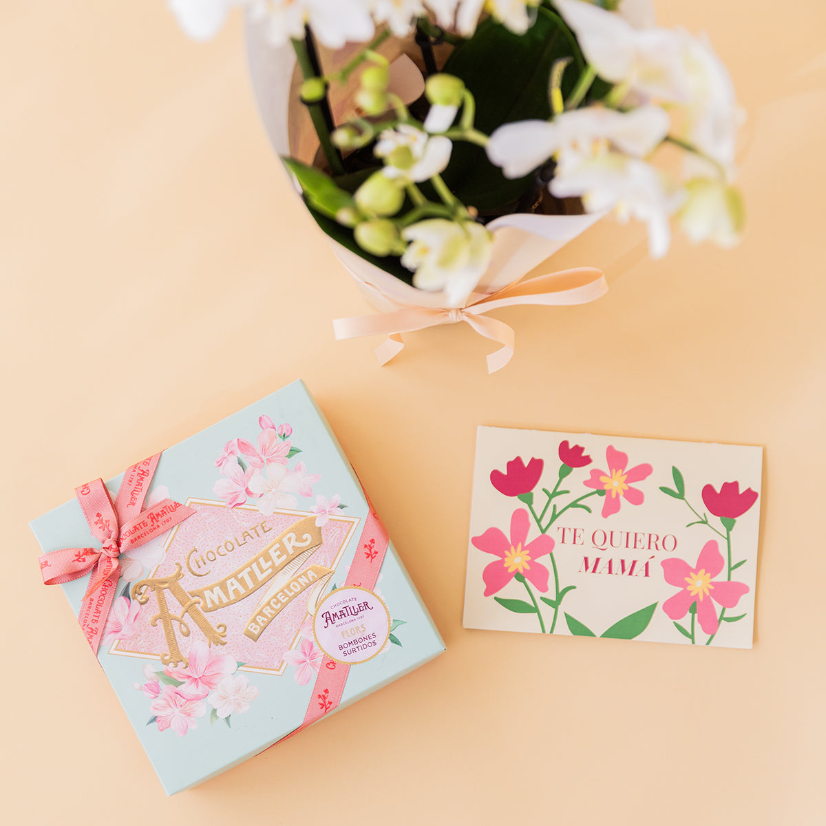 Orquídea Blanca con Bombones, Envoltorio y Tarjeta