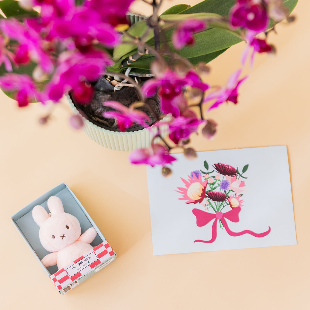 Orquídea Fucsia con Peluche y Tarjeta