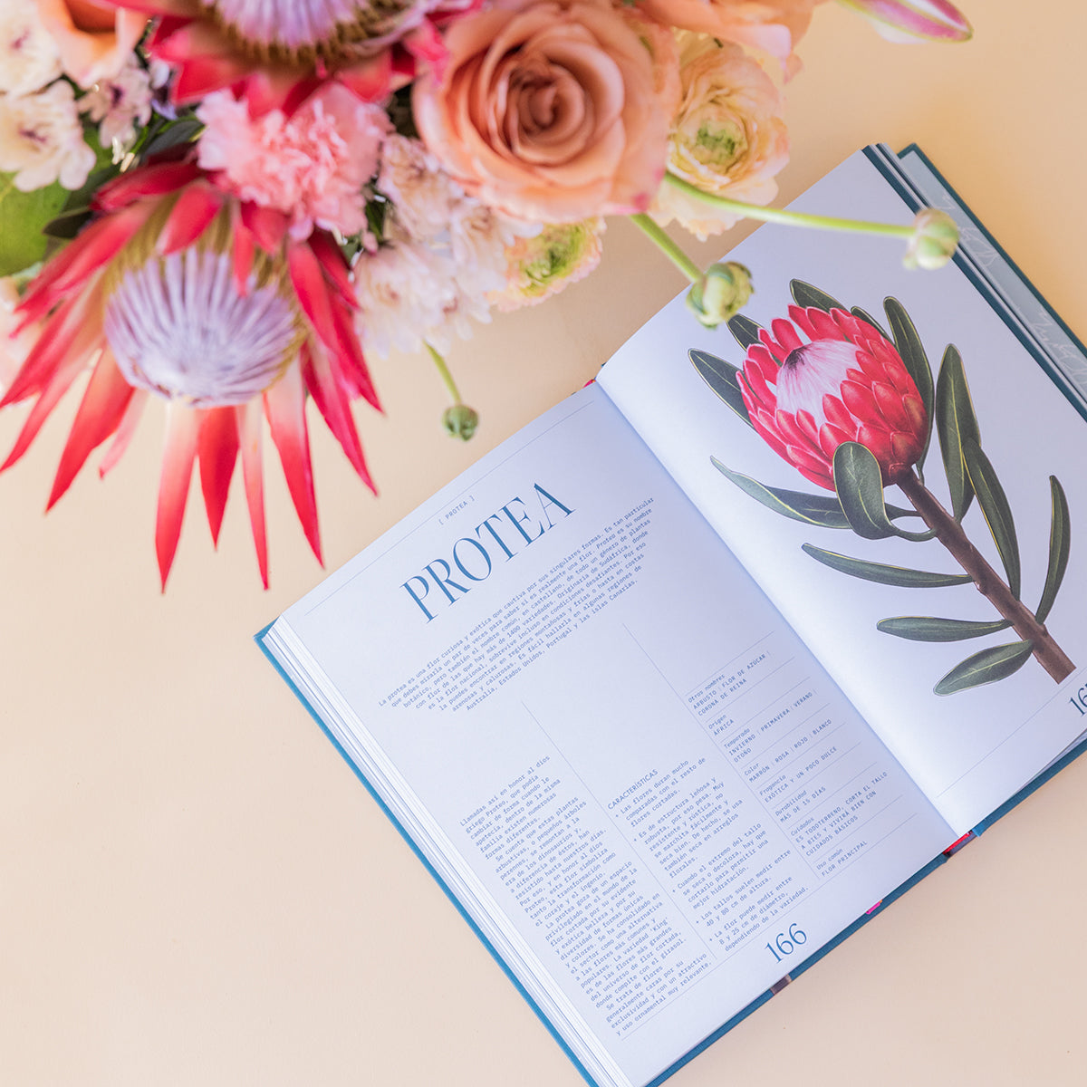 Ramo de Flores Premium con Envoltorio y Libro Floripedia