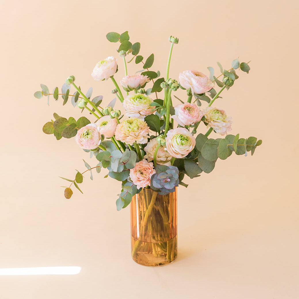 Los Ranunculus - Selección de ranunculus