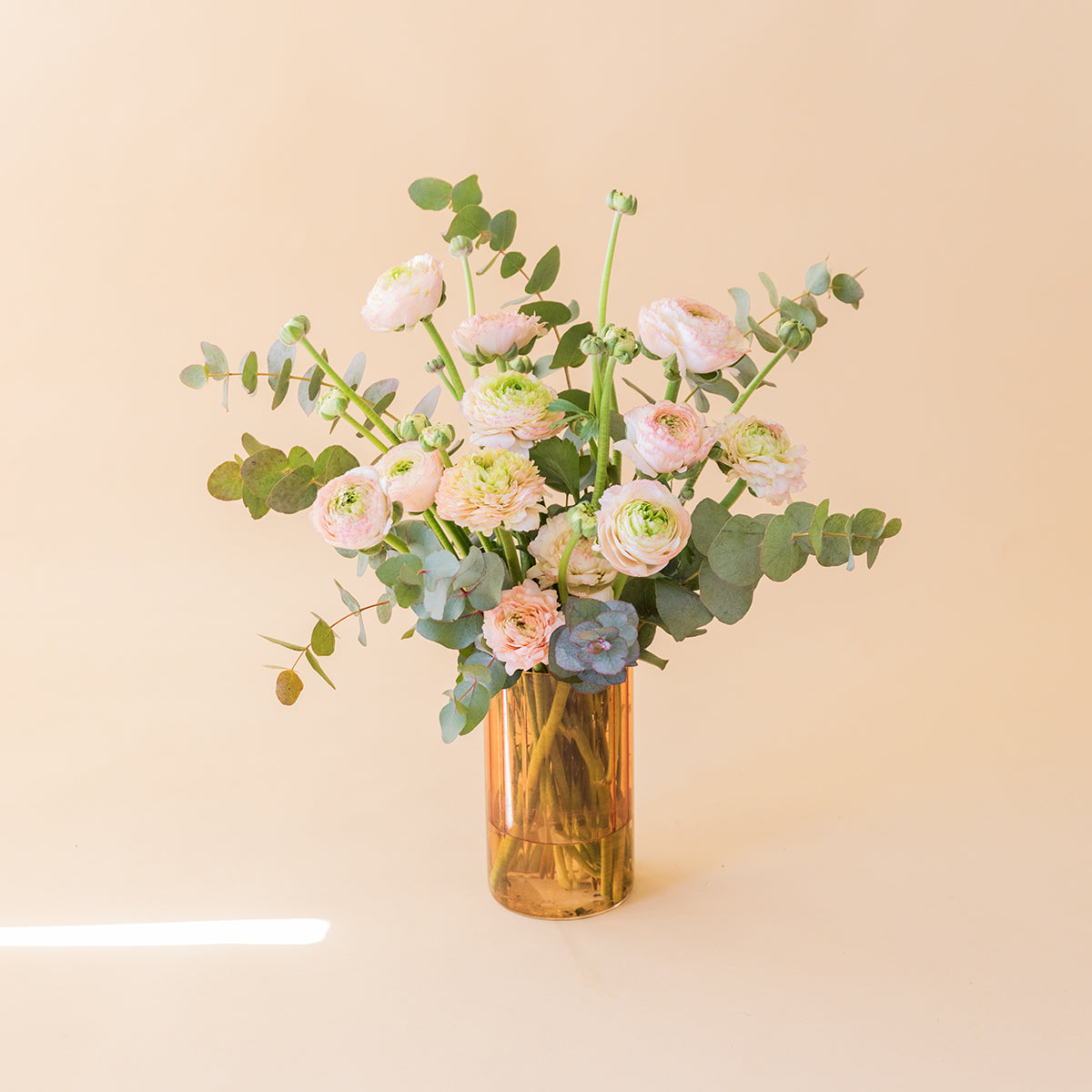 Los Ranunculus - Selección de ranunculus