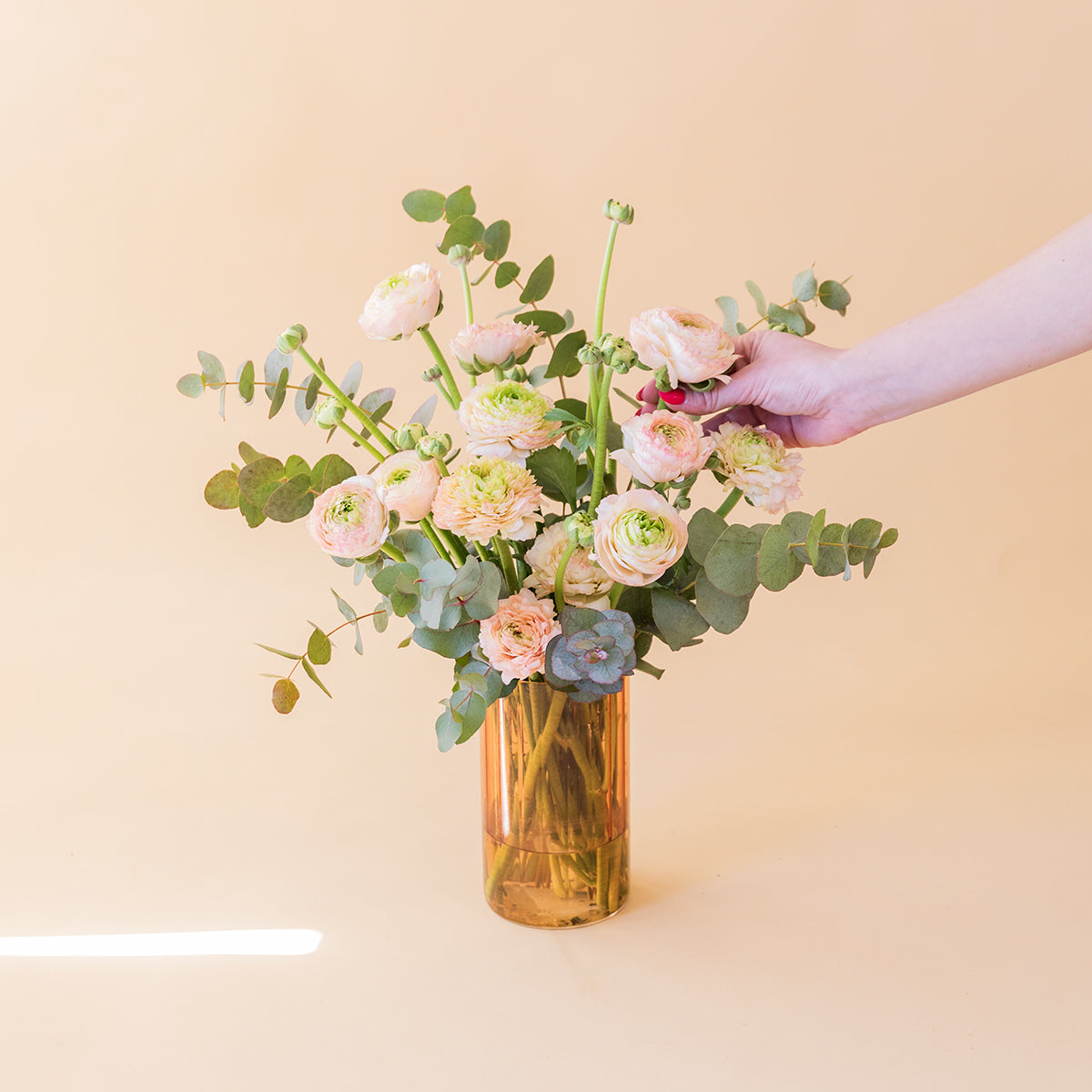 Los Ranunculus - Selección de ranunculus