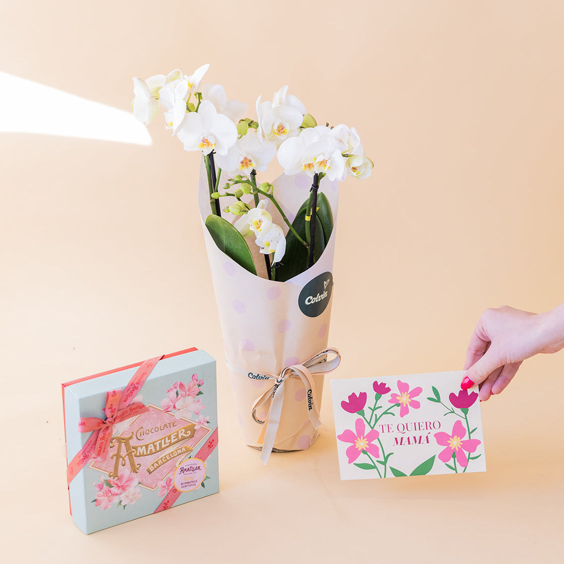 Orquídea Blanca con Bombones, Envoltorio y Tarjeta