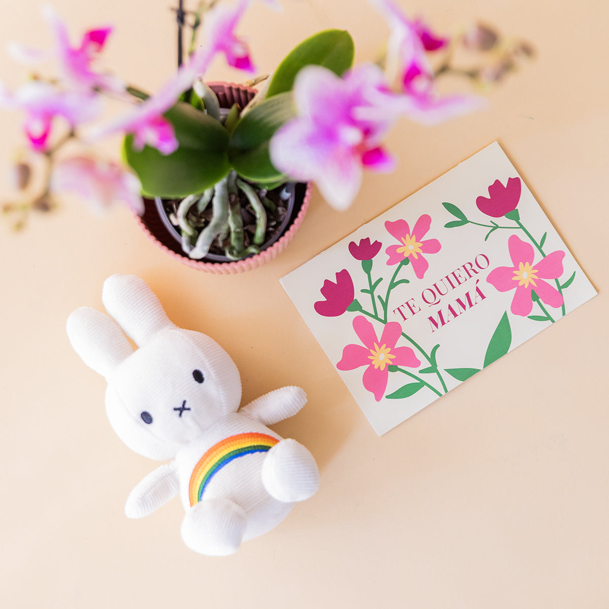 Orquídea Bicolor con Envoltorio, Peluche  y Tarjeta